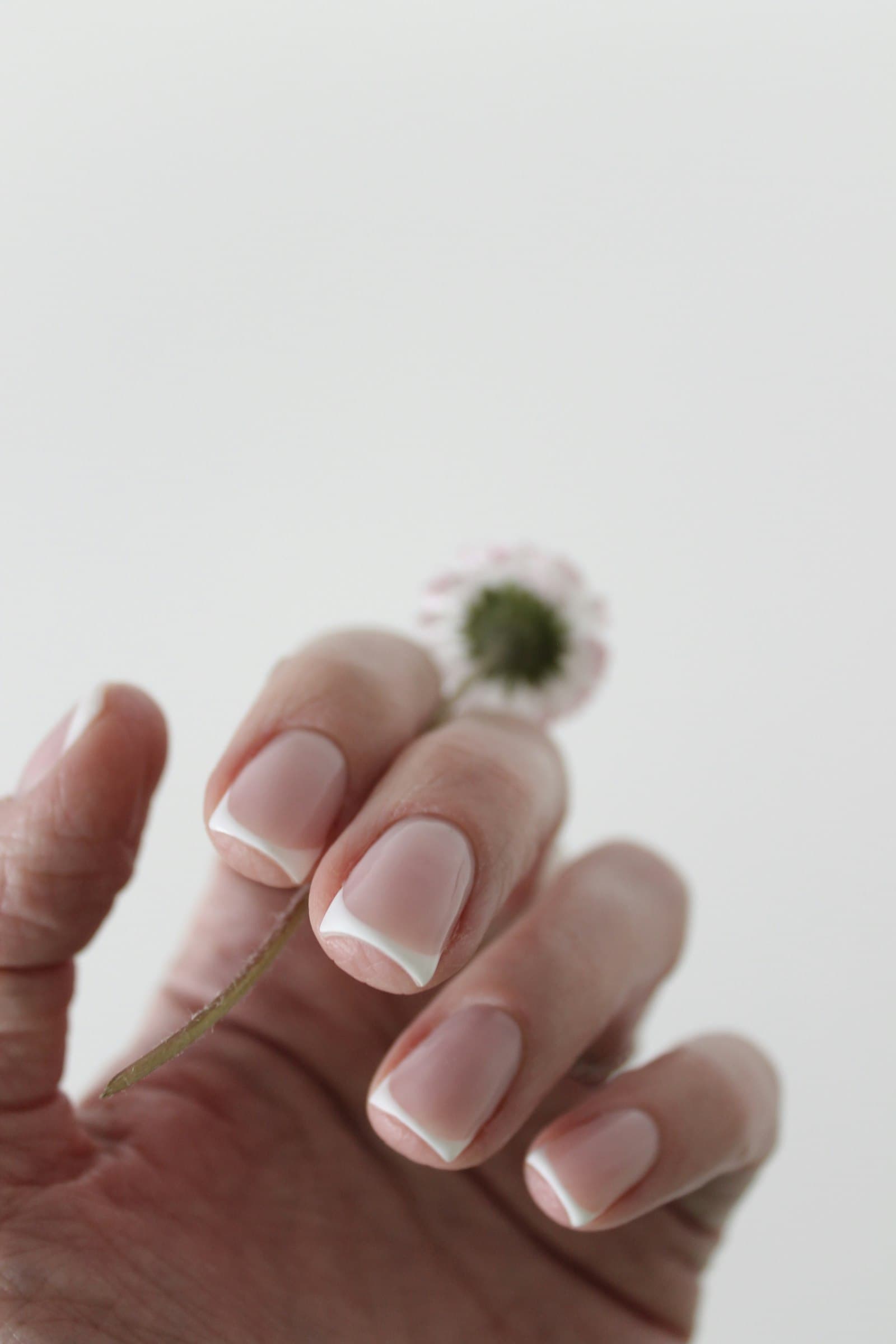 Close-up of a classic French tip manicure